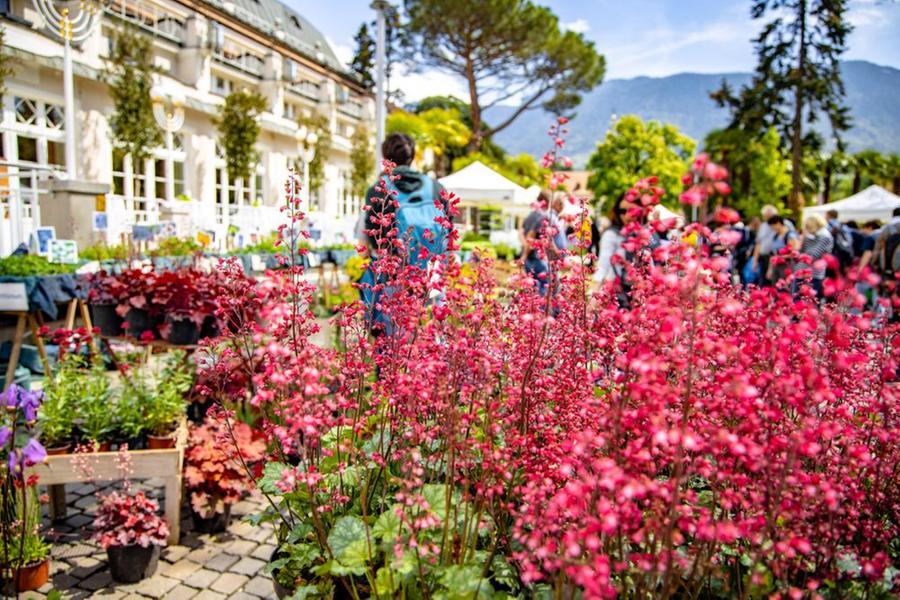 Merano Flower Festival, lo spettacolo della natura Locale Trentino