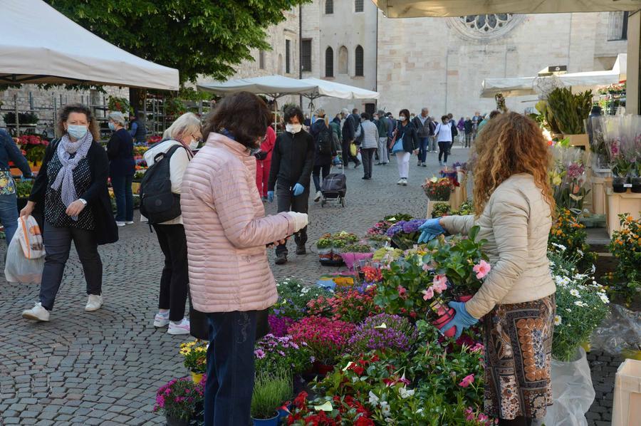 Trento Al Mercato Del Giovedi Tornano I Fiori E I Clienti Locale Trentino