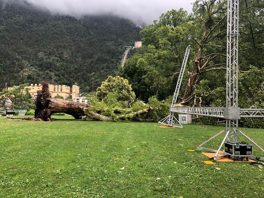 Nubifragio A Riva Del Garda: Danni In Tutta La Città, Alberi Sradicati ...