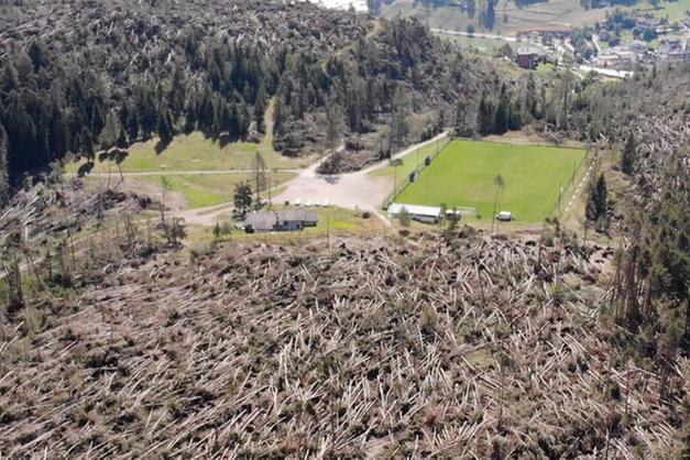 Quattro Anni Fa Vaia, La Tempesta Che Cambiò Il Trentino. Il Ruolo ...