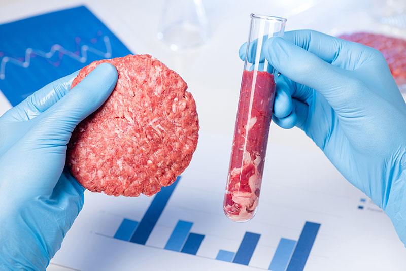 La Carne è “coltivata” Nei Laboratori Di Trento - Scienza E Tecnica ...