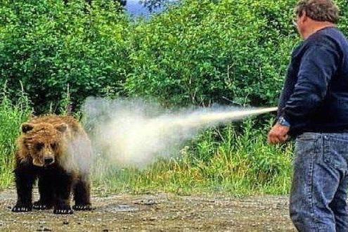 Ministero dell'Interno favorevole allo spray anti-orso per il Corpo  Forestale - Caccia Passione