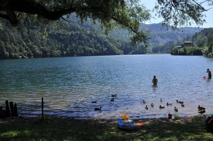 Lases, Si Tuffa Nel Lago E Non Riemerge, Recuperato Dai Soccorritori ...