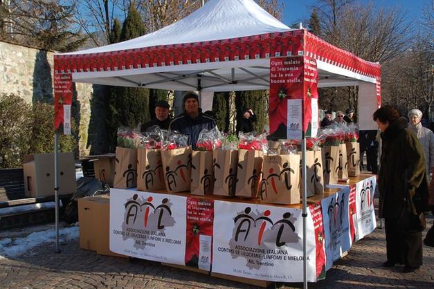 Stella Di Natale Ail Prezzo.Sabato E Domenica Le Stelle Di Natale Ail Pergine Trentino