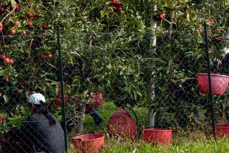 Stop Sussidi A Chi Rifiuta Un Lavoro Trento Trentino